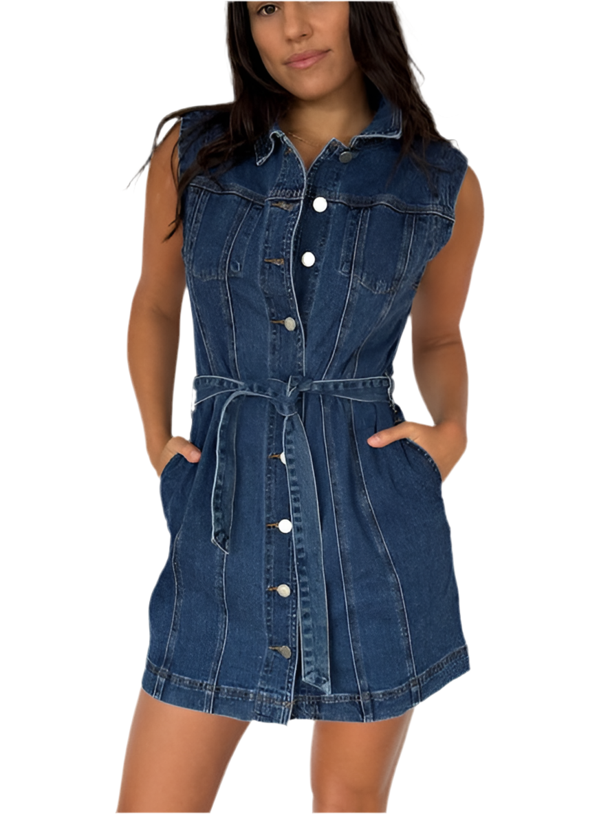 Blair denim dress best sale